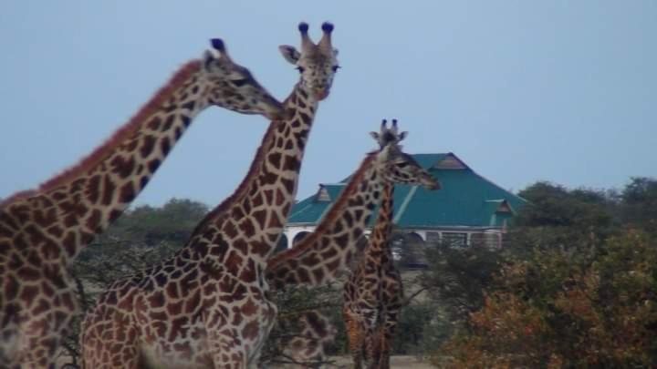 Narasha Homestay - Maasai Mara Talek Kültér fotó