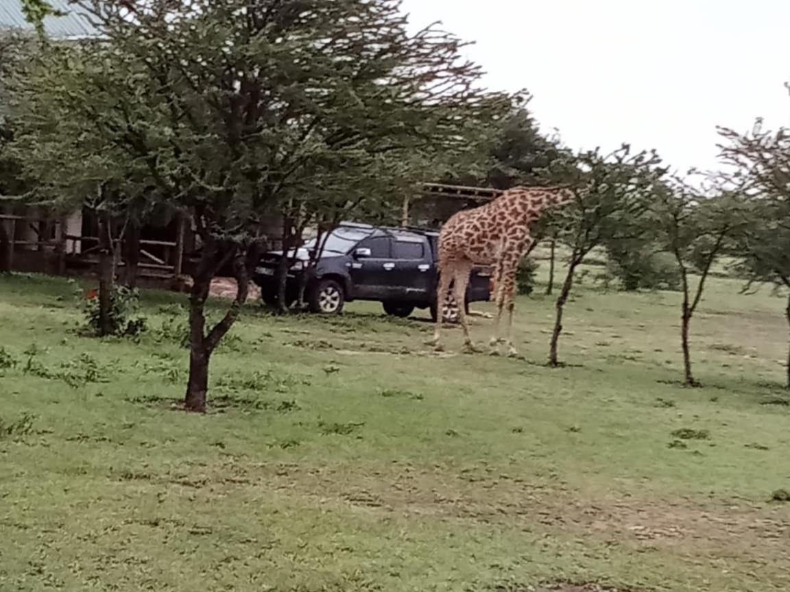 Narasha Homestay - Maasai Mara Talek Kültér fotó