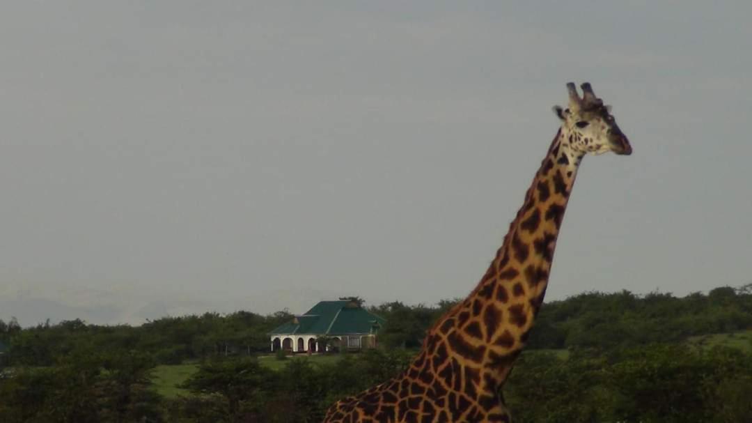 Narasha Homestay - Maasai Mara Talek Kültér fotó