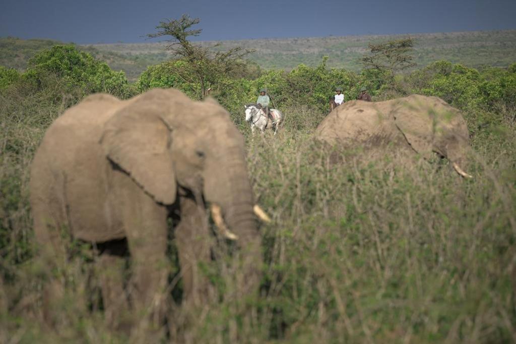 Narasha Homestay - Maasai Mara Talek Kültér fotó