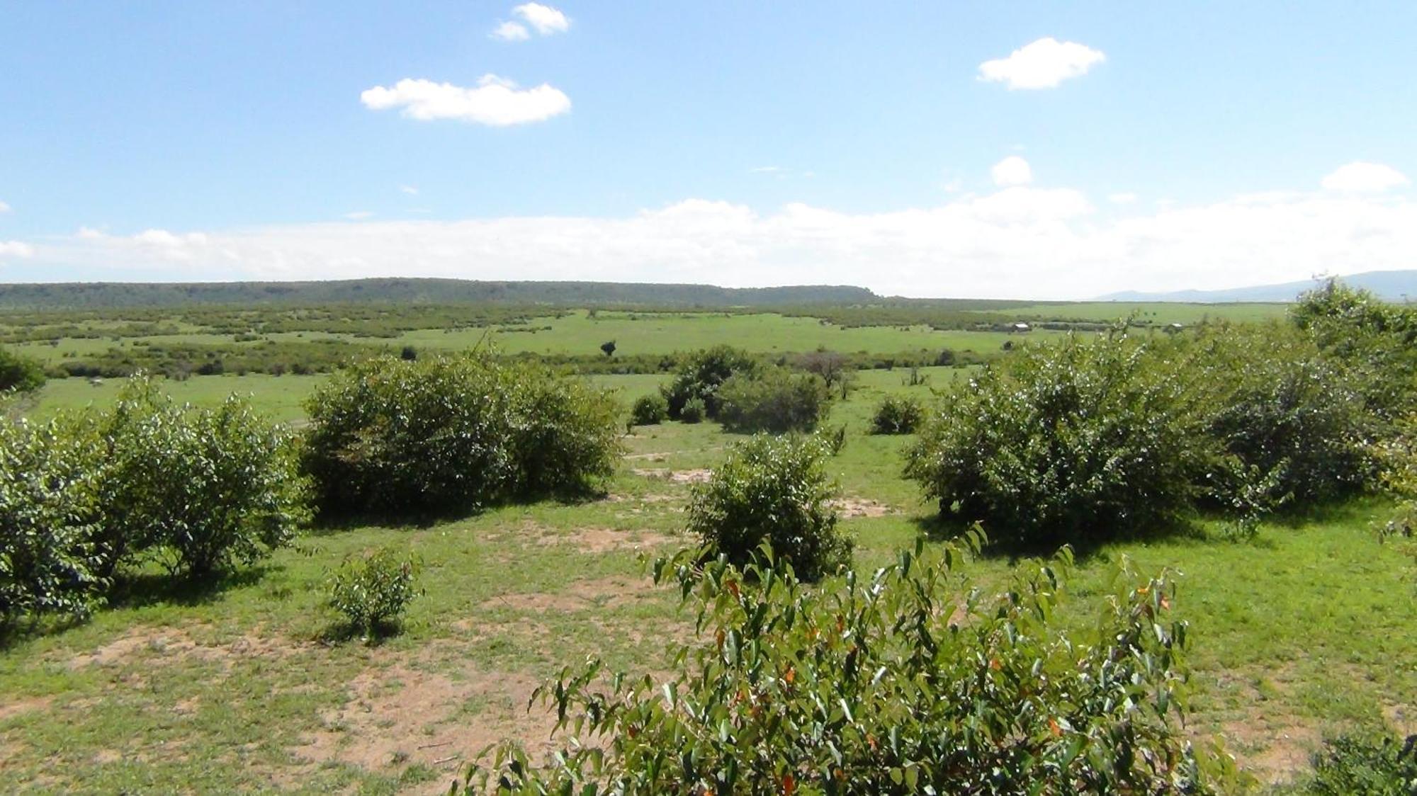 Narasha Homestay - Maasai Mara Talek Szoba fotó