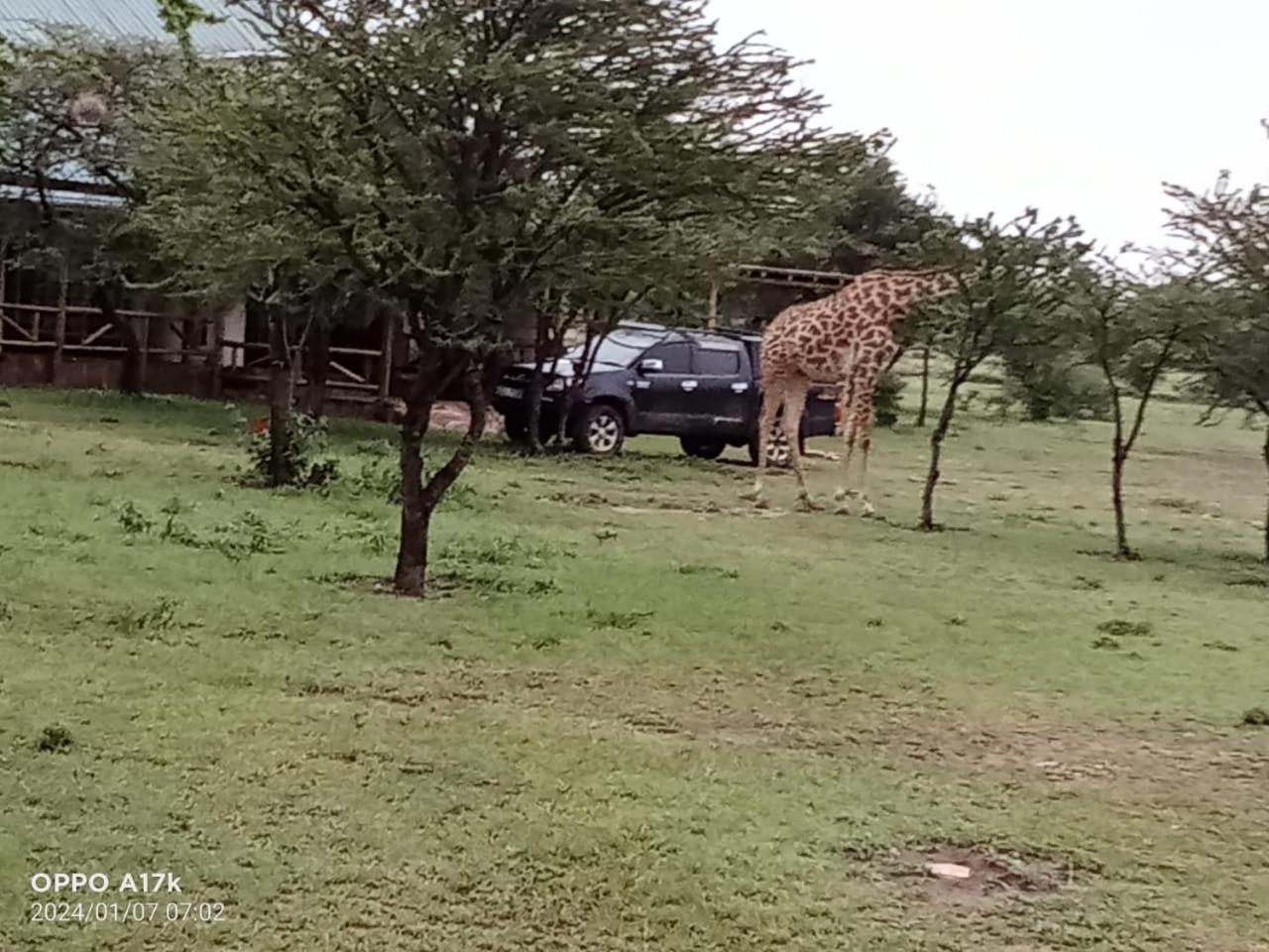 Narasha Homestay - Maasai Mara Talek Szoba fotó