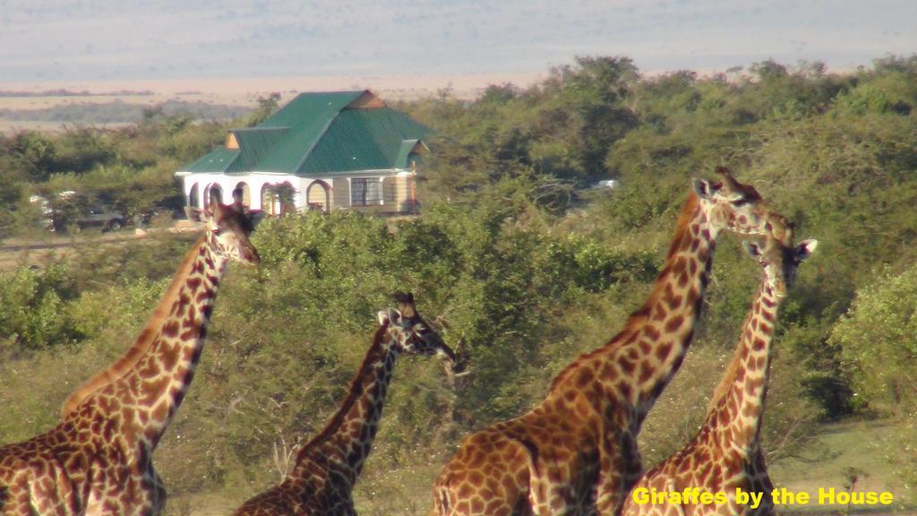 Narasha Homestay - Maasai Mara Talek Kültér fotó