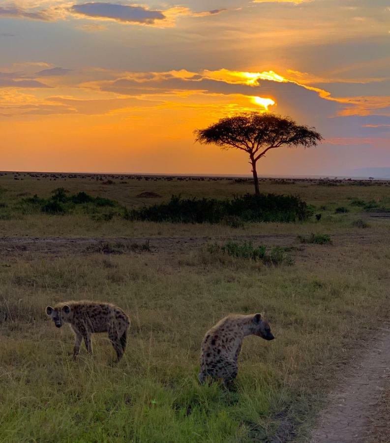 Narasha Homestay - Maasai Mara Talek Kültér fotó