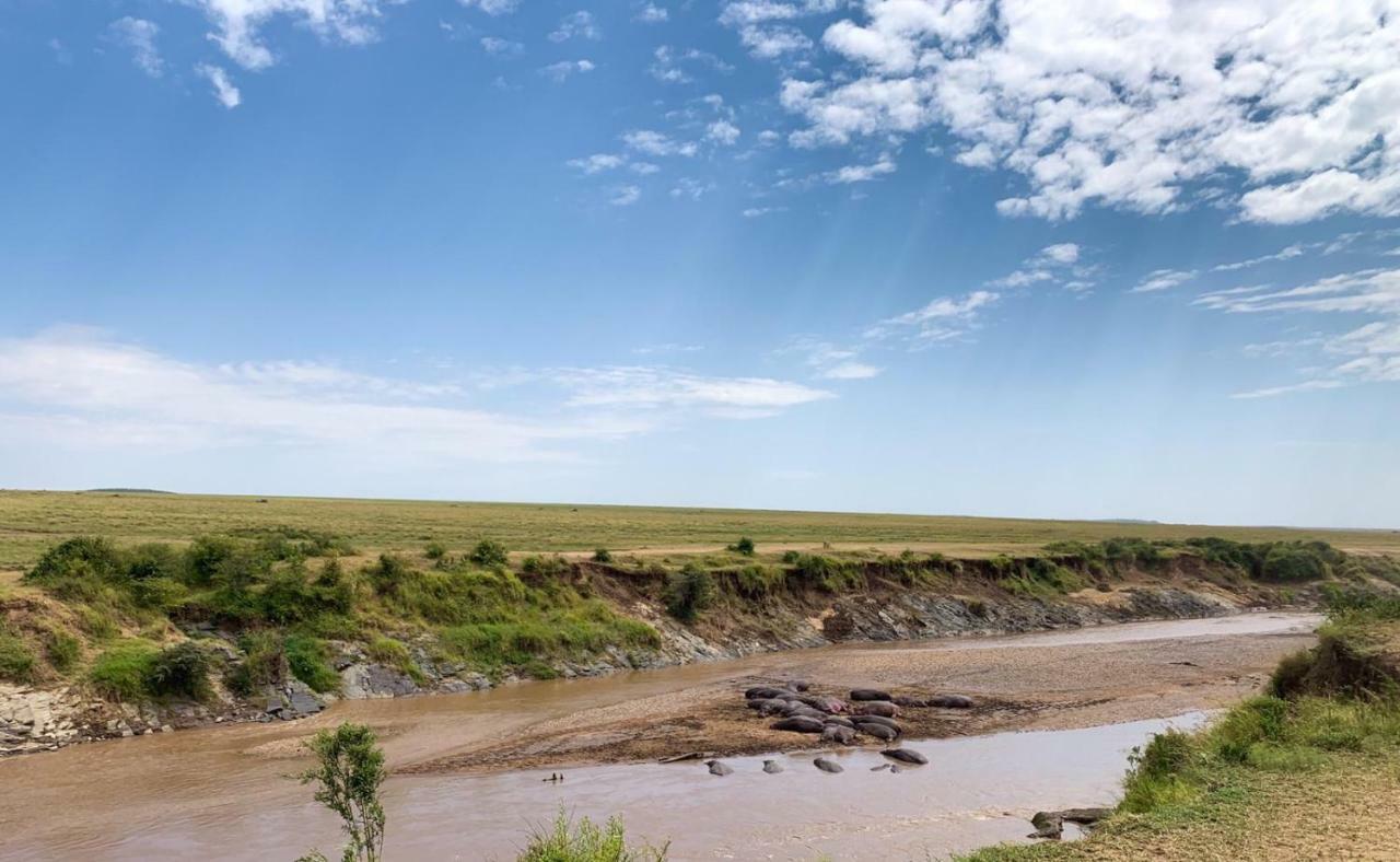 Narasha Homestay - Maasai Mara Talek Kültér fotó